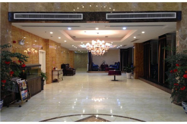 广州小鲜肉98年种子