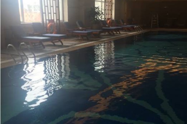 广州98年上市公司名录：重温历史，探寻企业成长轨迹