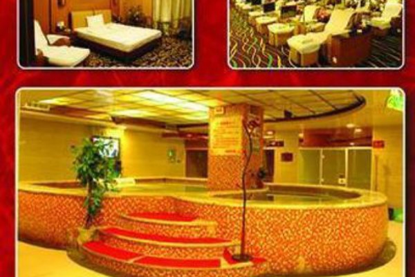 广州95号茶叶价格